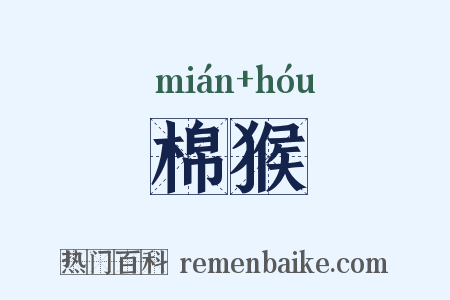 棉猴是什么意思的图片